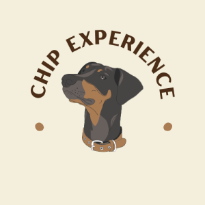 CHIP