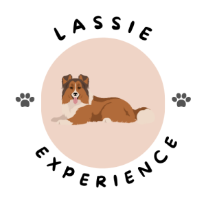 LOGO LASSIE EXPERIENCE