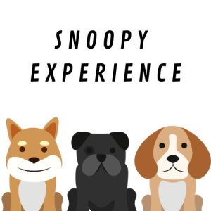 LOGO SNOOPY EXPERIENCE